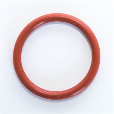 Pulizia della casa: O ring in silicone