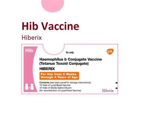 Haemophilus Influenzae Type B Vaccine