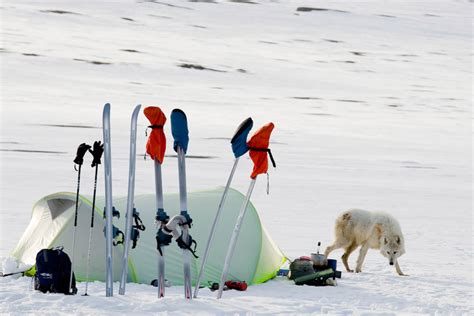 Arctic Expedition with National Geographic — Ben Horton Photography