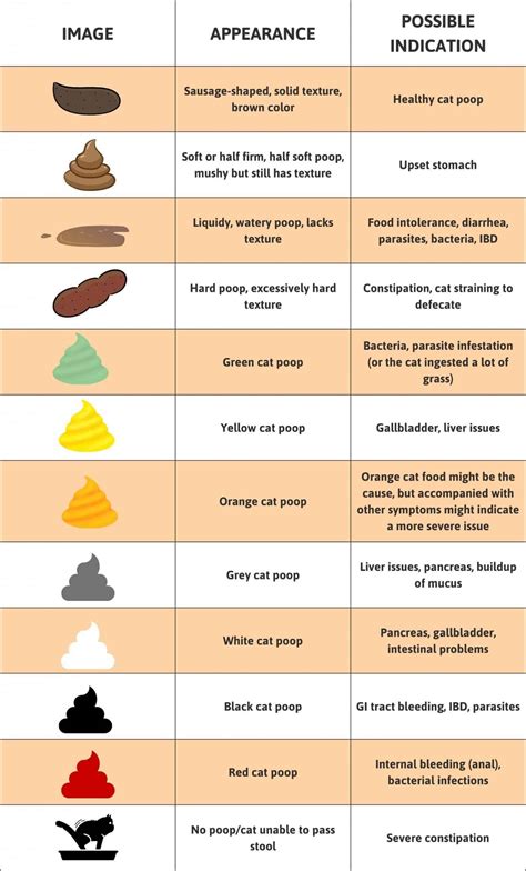 Importance Of Cat Poop Color Chart – Understanding Felines