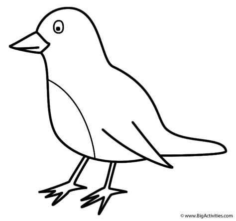 Robin Outline Drawing | Free download on ClipArtMag