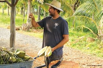 Tour a Coconut Farm in Maui, HI | Maui Coconut Tour