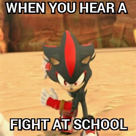 Shadow Meme | Memes, Sonic funny, Shadow the hedgehog