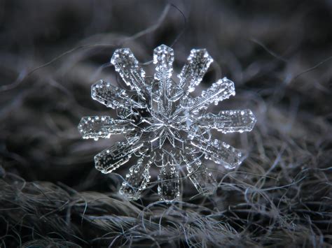 Snowflake Art & Collectibles Glass Art Glass Sculptures & Figurines ...