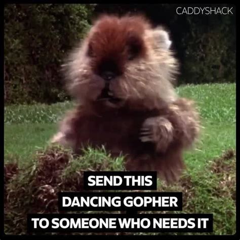 Caddyshack Gopher Meme