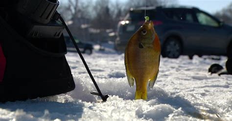 After "hectic, chaotic" start to ice fishing season, things smooth as ...