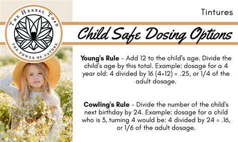 Herbal Dosage Guidelines for Children - The Herbal Toad