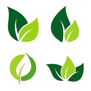 Leaf Logo Svg