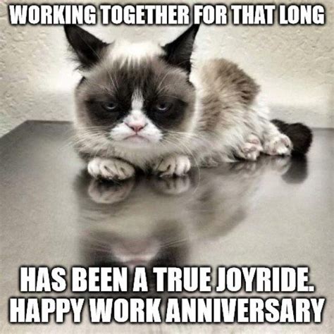 Happy Work Anniversary Meme Dog Nobody Can Wish You A Happy Work | Porn ...