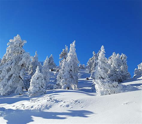 Mount Baldy Ski Lifts - Discover La Mirada California