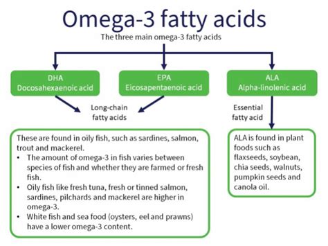 Omega-3 and fish oil supplements | Healthify