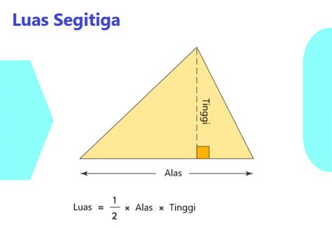 formula mencari luas segitiga - Claire Taylor