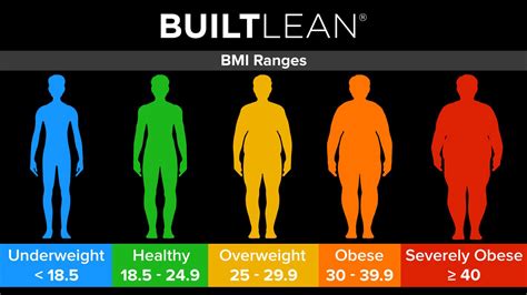 BMI Chart for Men: Is BMI Misleading? - BuiltLean