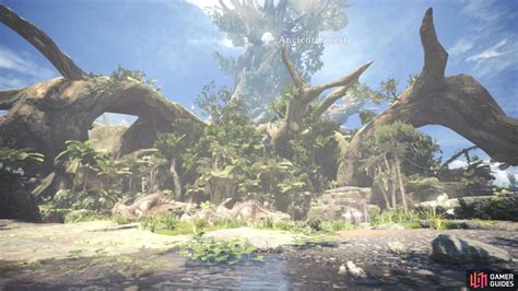 Monster Hunter World Ancient Forest Map - Maping Resources