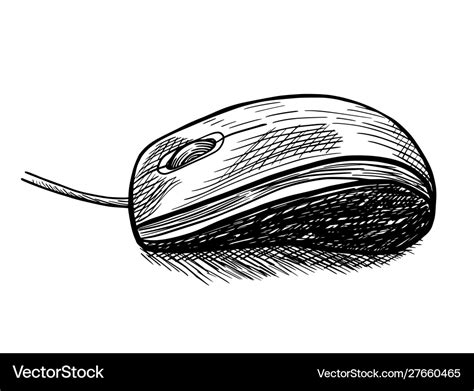 Hand drawn computer mouse drawing Royalty Free Vector Image