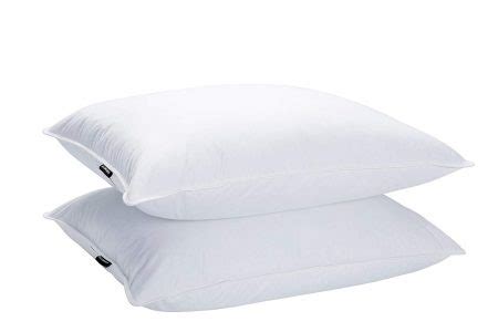 The Best Feather Pillows – Reviews & Buying Guide (2021) | Tuck Sleep