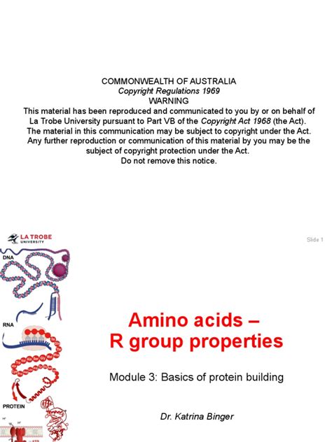 Amino Acids - R Groups | PDF | Amino Acid | Proteins