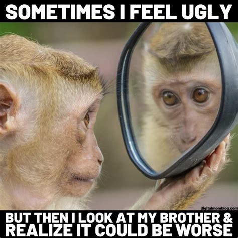 Funny Monkey Memes