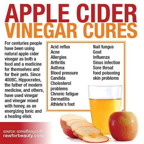 The benefits of Apple Cider Vinegar | Apple cider vinegar cures, Apple ...