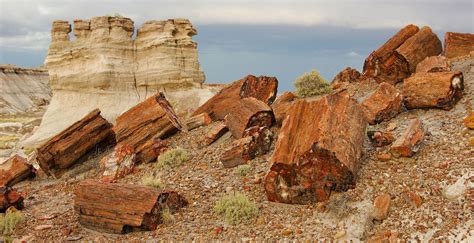 Petrified Forest National Park | Arizona, Fossils, Petroglyphs | Britannica