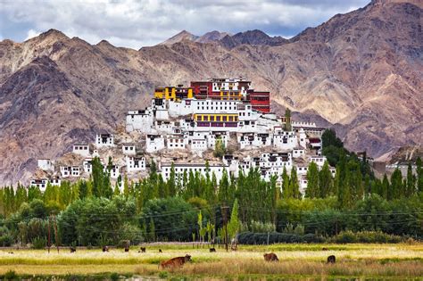 Most Beautiful Monasteries in Ladakh, India