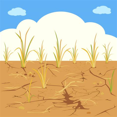 Farmer Drought Illustrations, Royalty-Free Vector Graphics & Clip Art ...