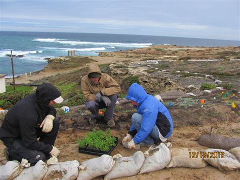 San Nicolas Island — Channel Islands Restoration