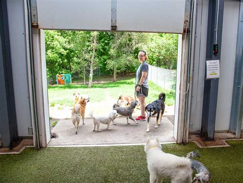 Dog Boarding – Four Paws Pet Resort