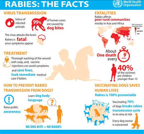 What Canadian Travellers Should Know About Rabies | The Travel Doctor ...