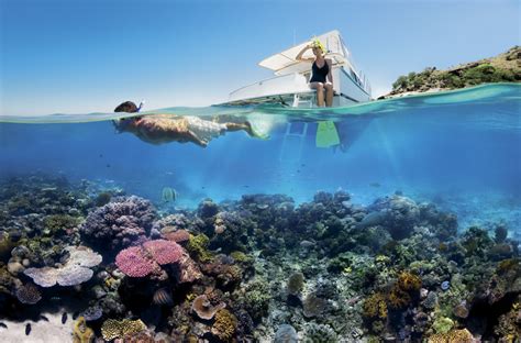 Reef_Snorkelling_on_the_Great_Barrier_Reef - Travel Oz