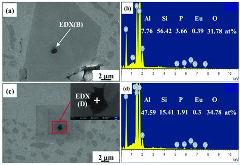 Energy dispersive x-ray spectroscopy (EDX) analysis of primary Si ...