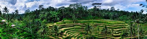 Tegalalang Rice Terraces in Bali | Junjungan Ubud Hotel & Spa, Bali ...