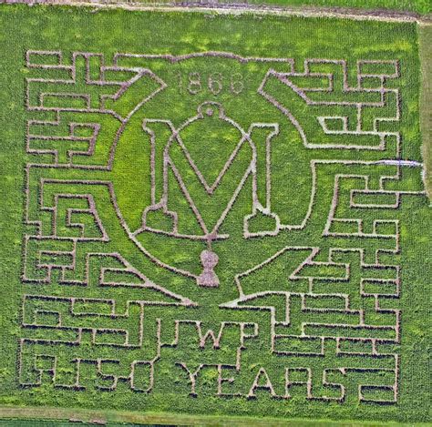 Corn Maze - Vesperman Farms