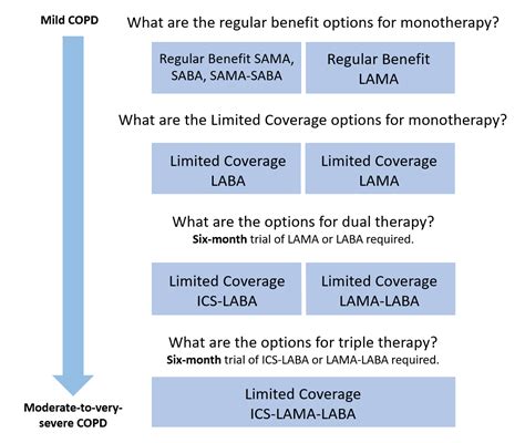 Chronic obstructive pulmonary disease (COPD) inhaler criteria ...