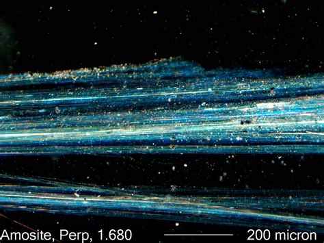 Amosite Asbestos Under the Microscope