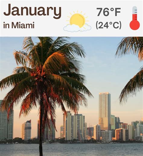 Miami Weather January 2024 - Kally Marinna