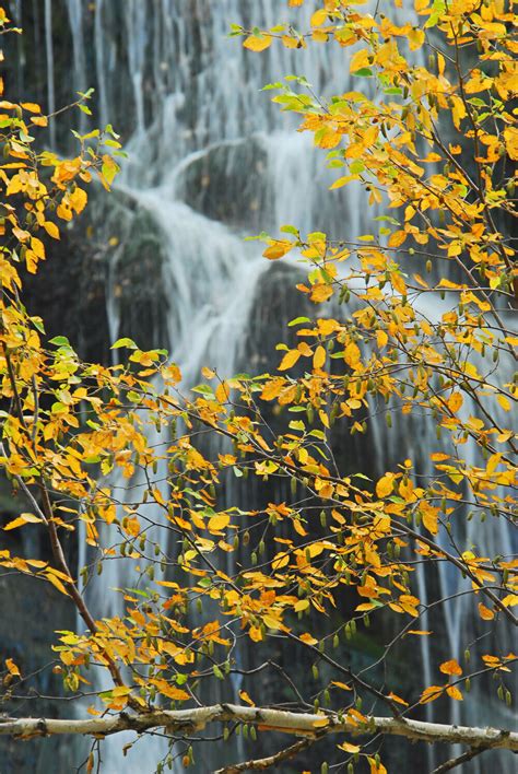 Spearfish Canyon Fall Colors - Scenic Drive