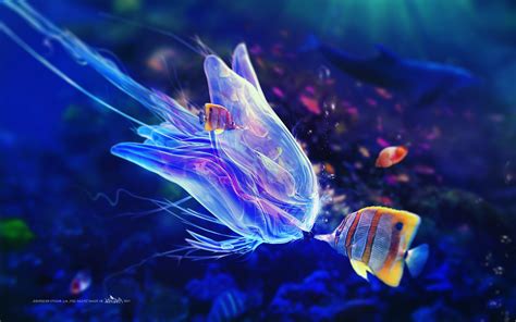 Adam Spizak, Digital Art, Fish, Underwater Wallpapers HD / Desktop and ...