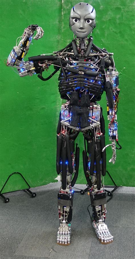 Team in Japan creates most advanced humanoid robot yet