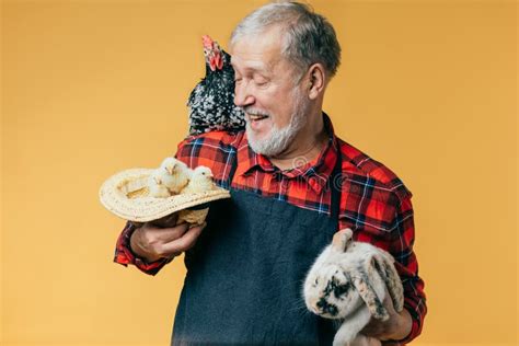 Happy Cheerful Farmer Spending Time with Animals Stock Photo - Image of ...