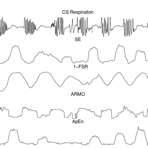 Complexity measures during Cheyne-Stokes Respiration movements ...