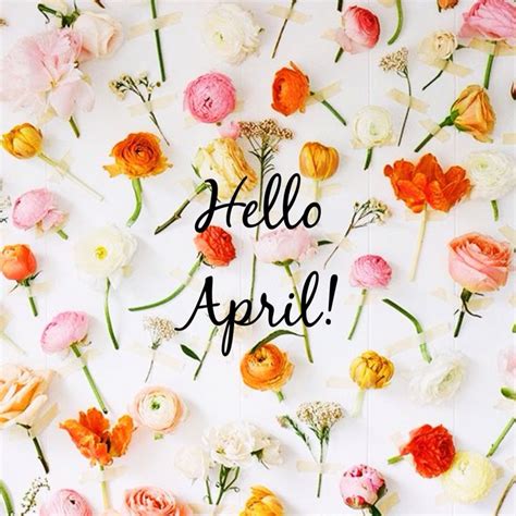 Hello April! We're ready for you! Quote for spring. April showers bring ...