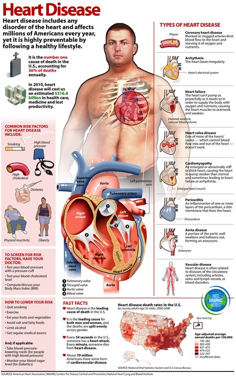 Facts about Heart Diseases