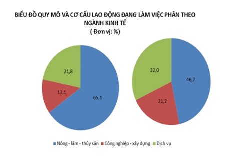 Góc Địa lý: Cách vẽ biểu đồ tròn