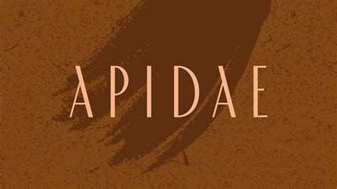 Apidae on Behance