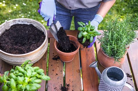 Herb Garden Ideas: Plant a ‘Mood Garden’ With These Relaxing Herbs ...