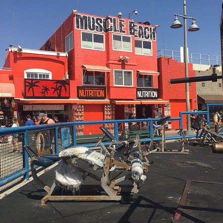 Muscle Beach (Santa Monica) - 2018 All You Need to Know Before You Go ...