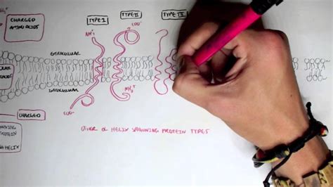 Membrane Proteins I - YouTube