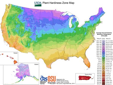 Usda Loan Florida Zone Map | Printable Maps