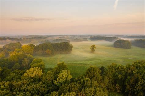 Premium Photo | Riparian forest with morning mists from aerial perspective